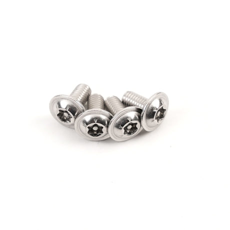 4-Pack Washer Head Silver Stainless Steel T25 Torx Security Screws