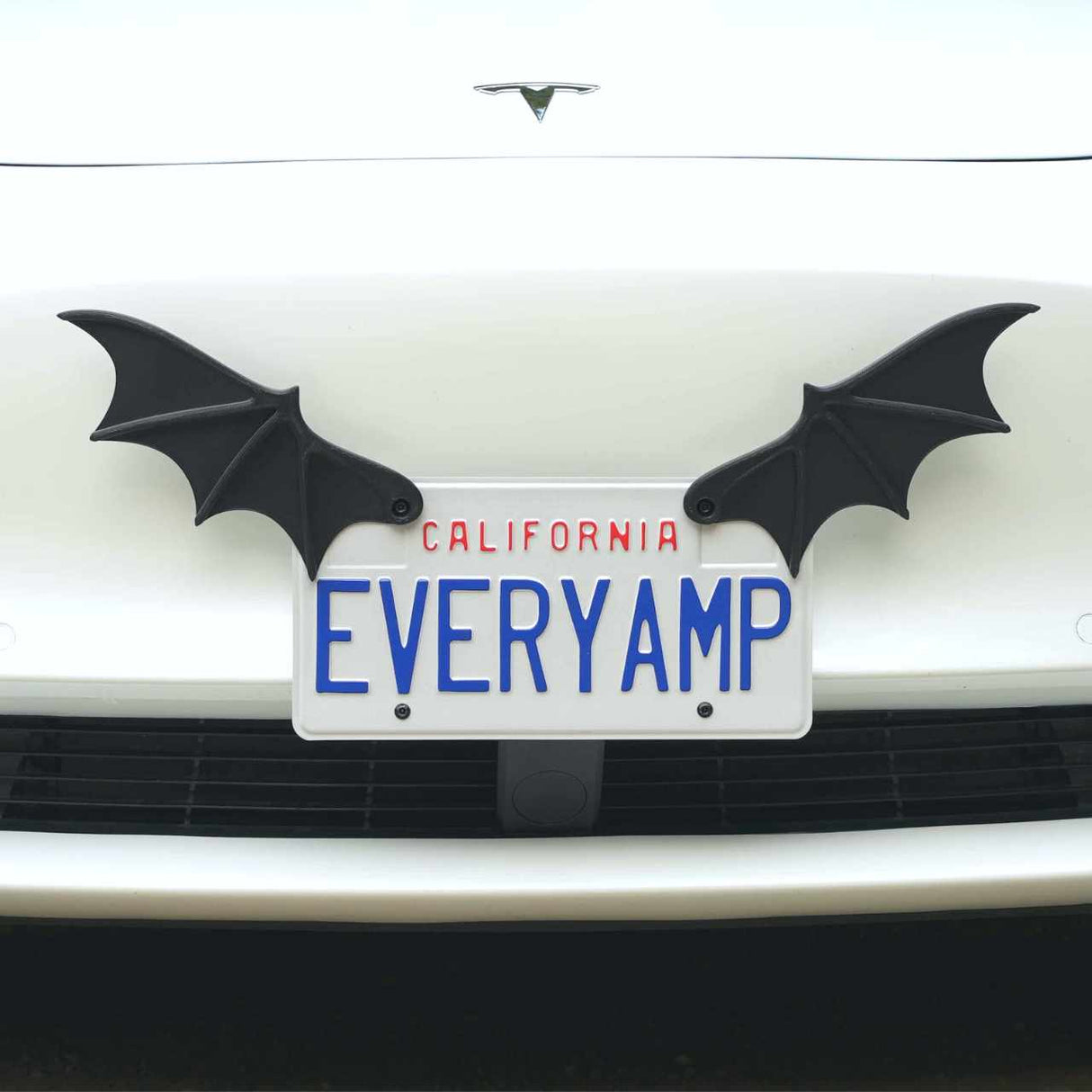 Front-mount license plate bat wings