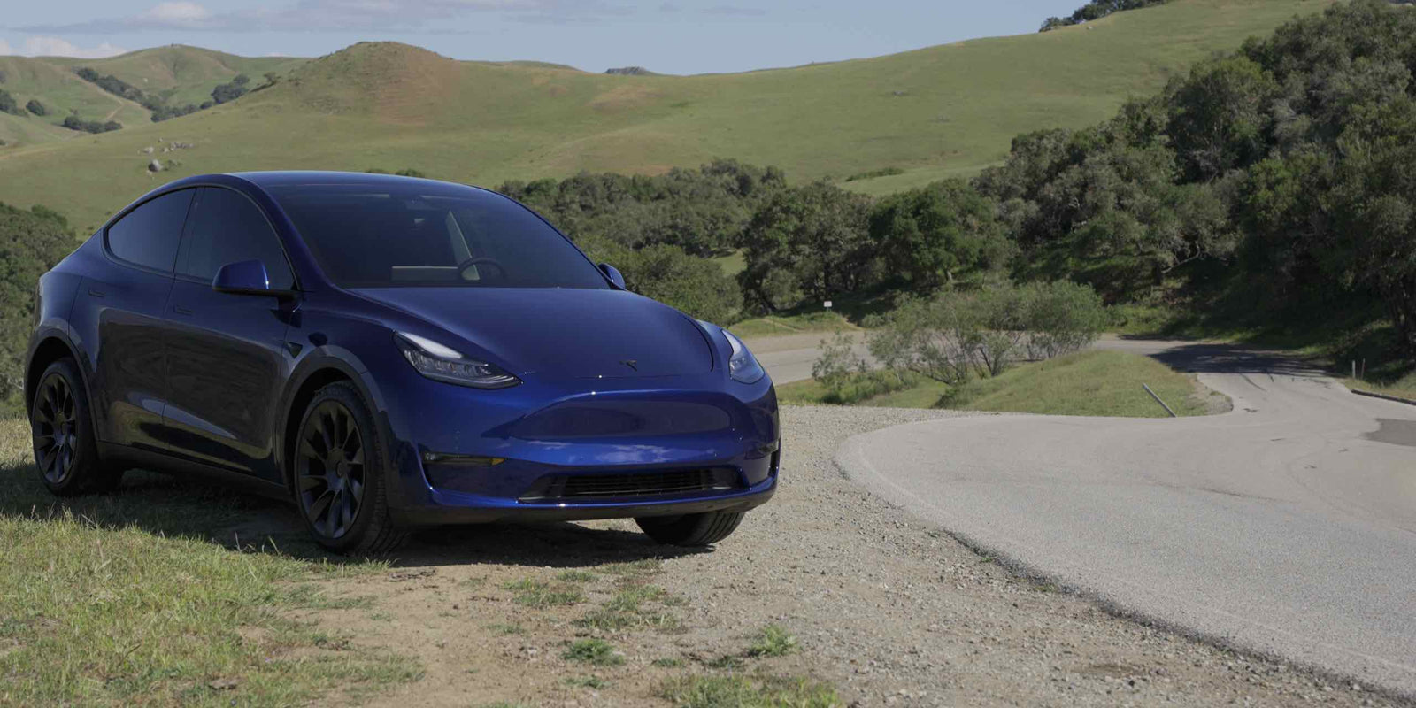 Model Y Curve Wide