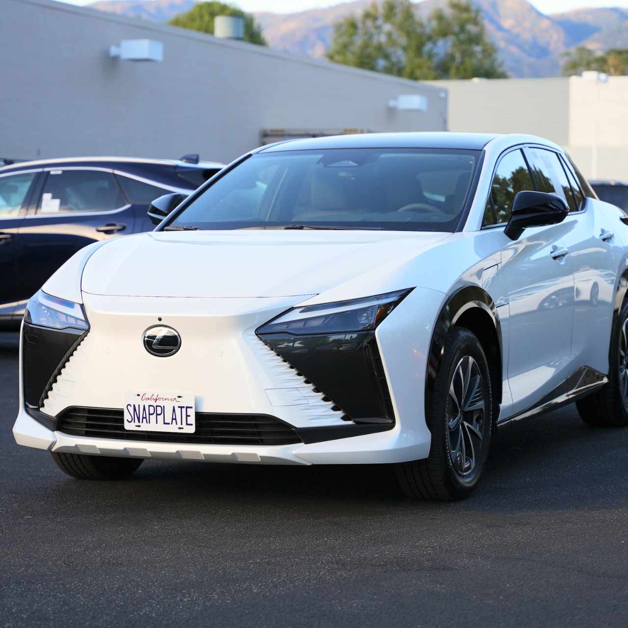 Lexus Rz Adapters Lexus RZ Aftermarket Accessories and Add-Ons – EveryAmp