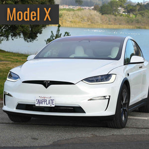 Model X