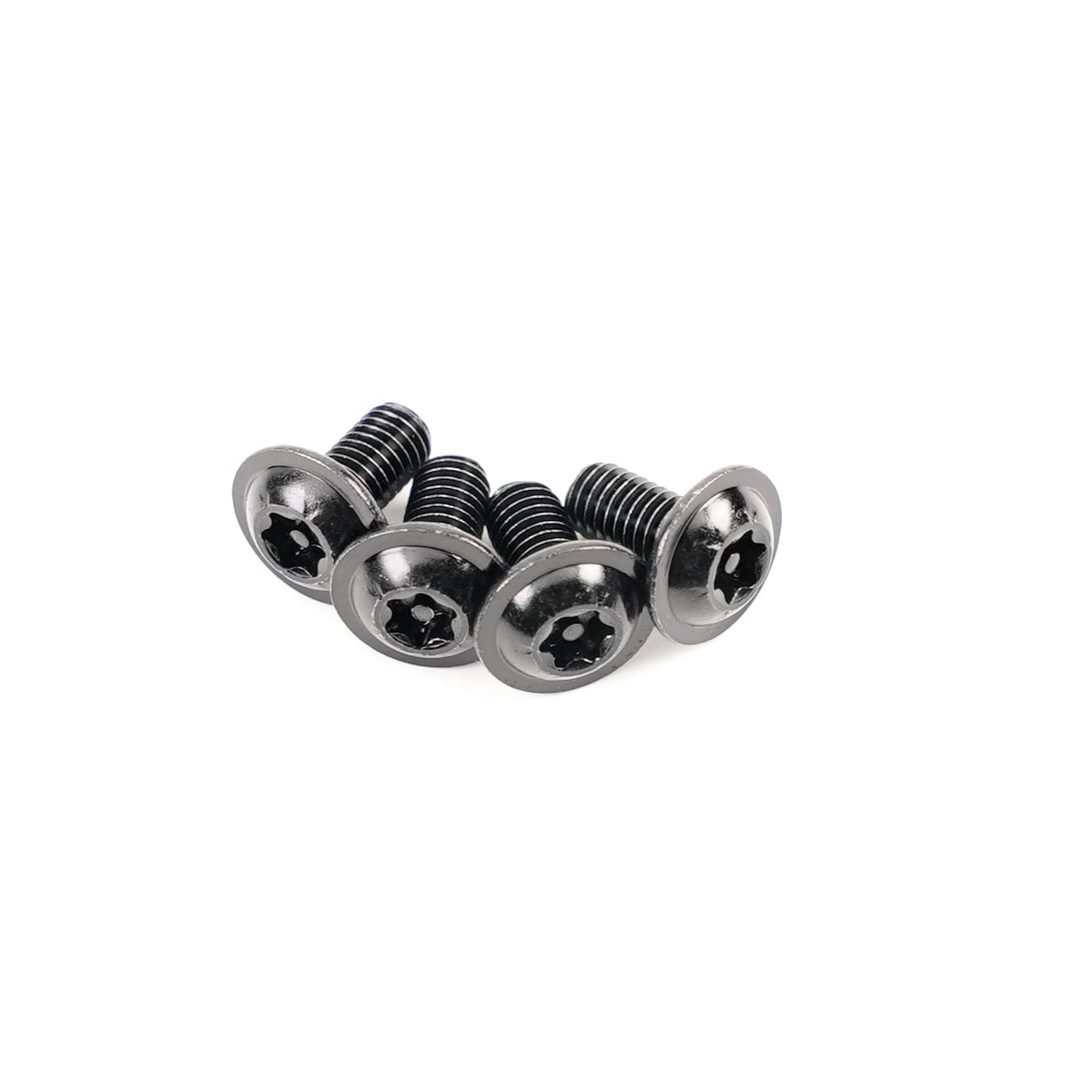 4-Pack Washer Head Black Nickel Stainless Steel T25 Torx Security Screws