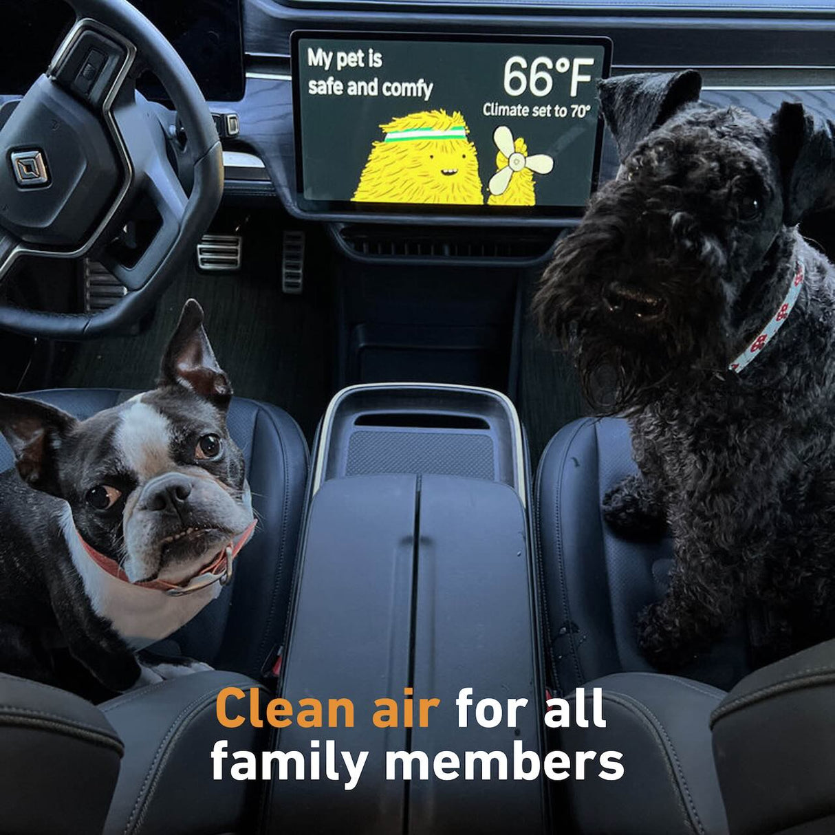 Two dogs relax in the front seats of a Rivian R1T. The dashboard shows "My pet is safe and comfy" at 66°F. Text overlay: Breathe easy with the EveryAmp HEPA+Activated Carbon Cabin Air Filter for Rivian R1T & R1S—clean air for every family member.