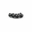 Black Torx Security Screws