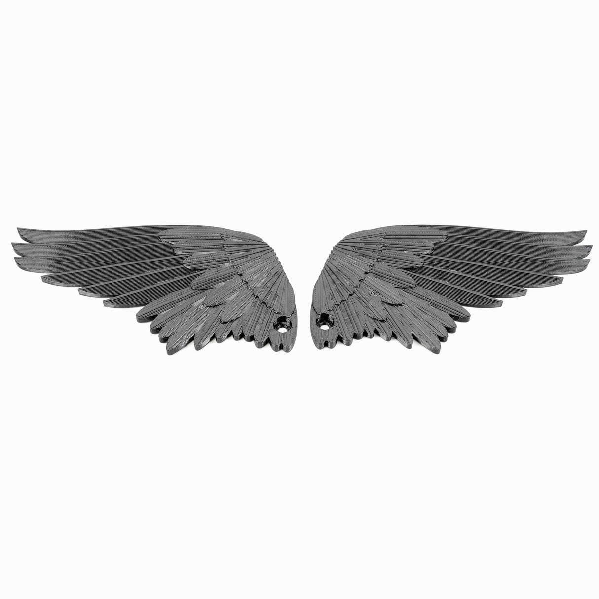 License Plate Wings In Raven Black Outstretched